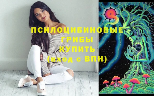не бодяженный Горняк