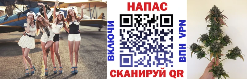 Каннабис THC 21%  дарнет шоп  Оса 